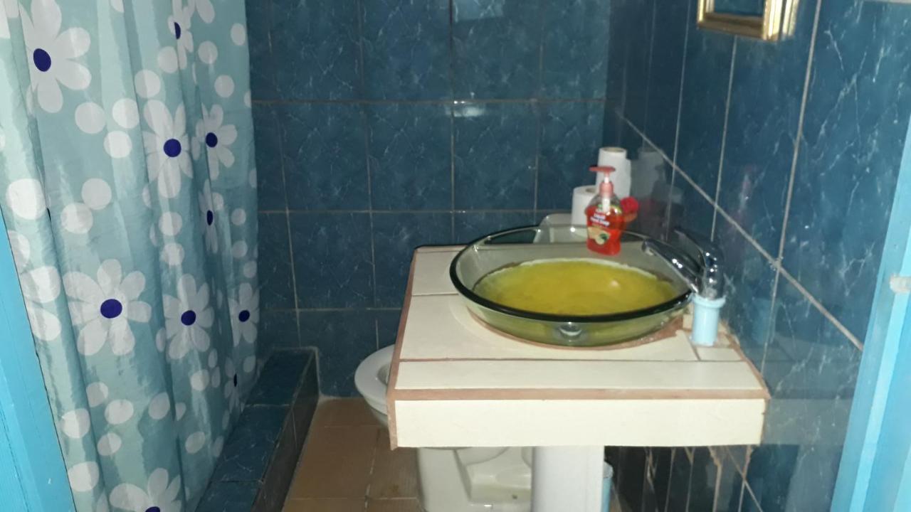 פוארטו לימון Hotel La Uvita מראה חיצוני תמונה